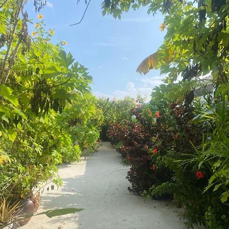 Coral Castle - Goidhoo Maldives 호텔 외부 사진