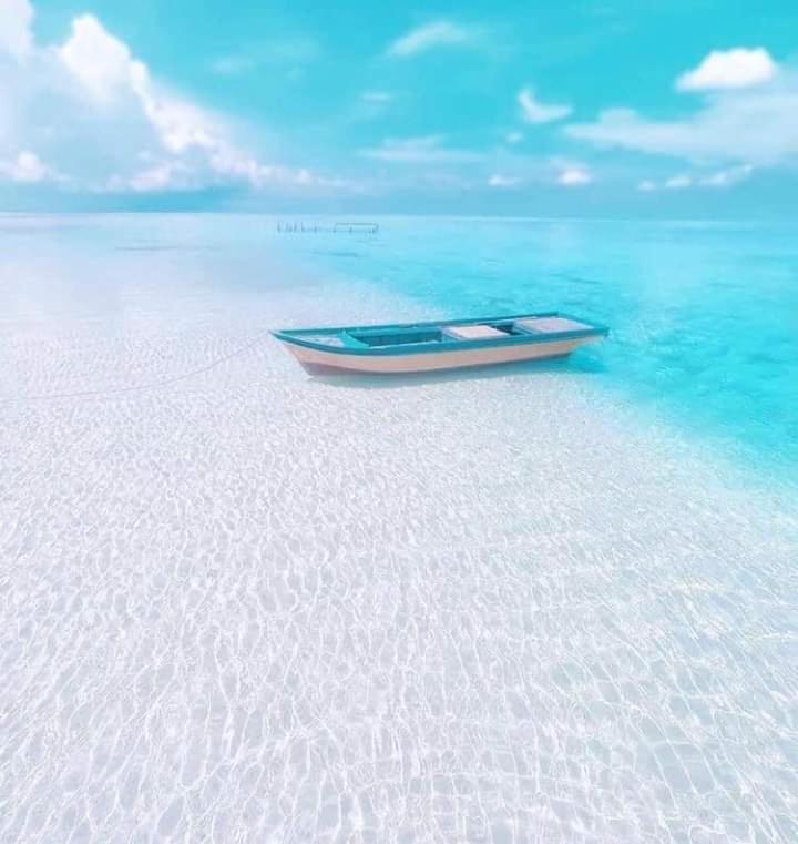 Coral Castle - Goidhoo Maldives 호텔 외부 사진