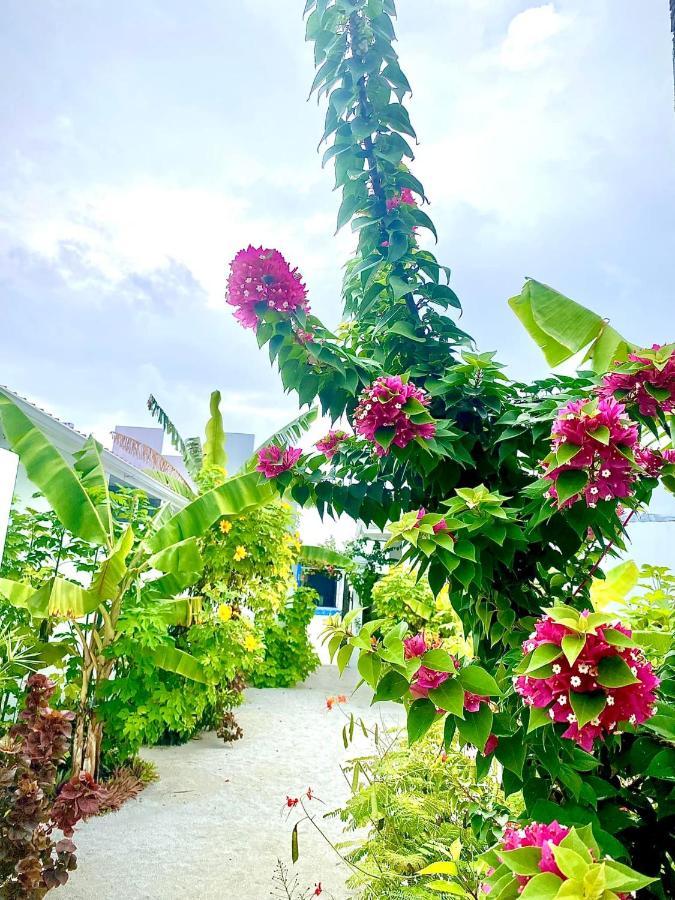Coral Castle - Goidhoo Maldives 호텔 외부 사진