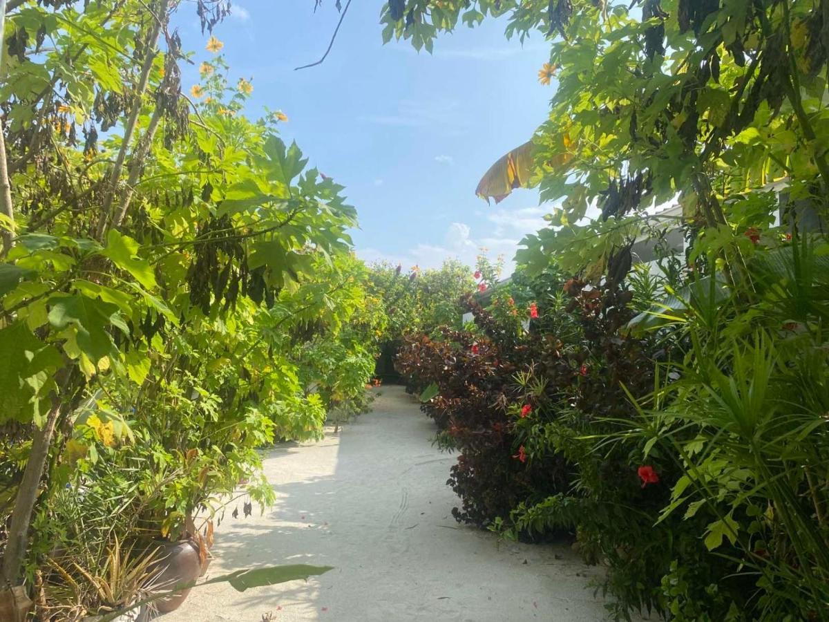 Coral Castle - Goidhoo Maldives 호텔 외부 사진